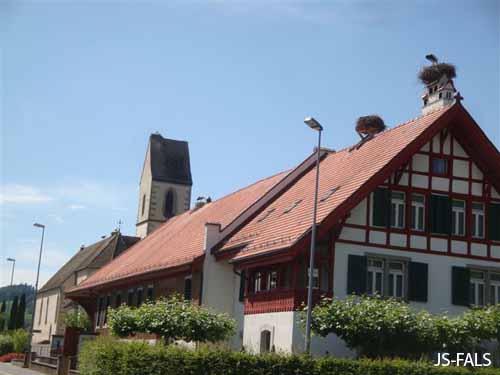 DSC04729
